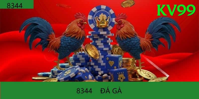Đá Gà Trực Tiếp - kv99 - Giải đấu