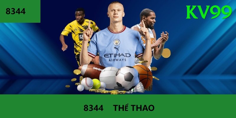 Cá Cược Thể Thao - Trải nghiệm tuyệt vời - Điều khoản